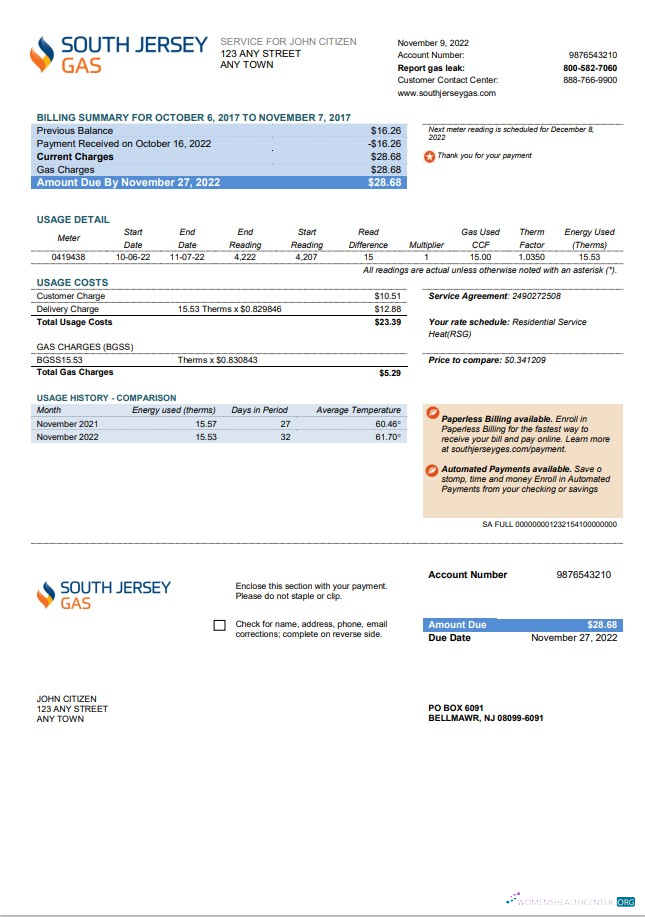 download USA New Jersey South Jersey Gas utility bill template in Word and PDF format PDF template
